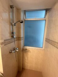 Leedon 2 (D10), Condominium #517968391